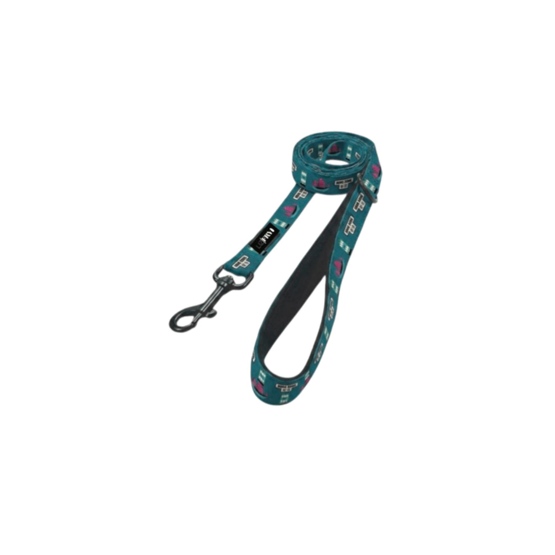 HK Transport – Teal Dog Lead