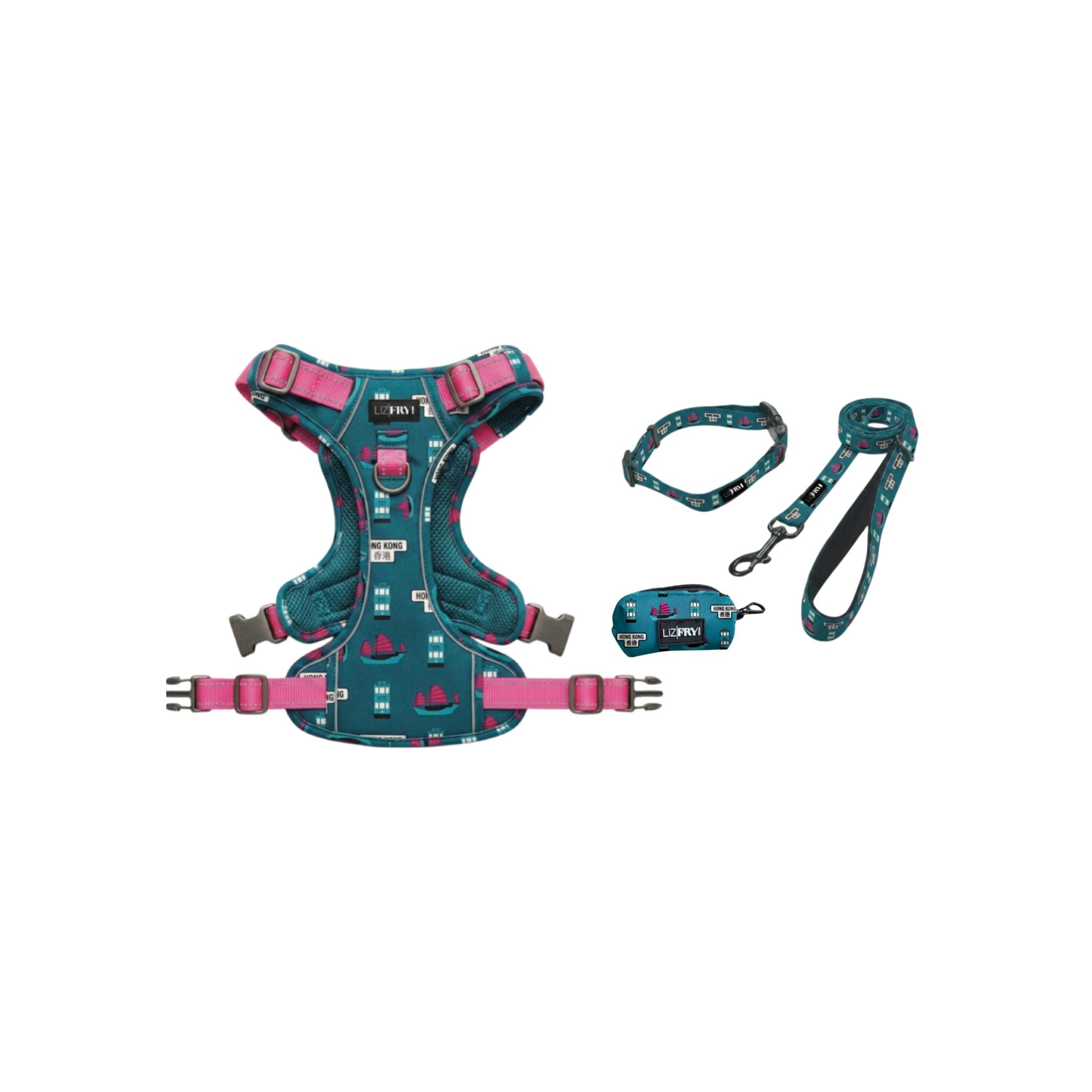HK Transport – Teal 4-Piece Dog Walk Set