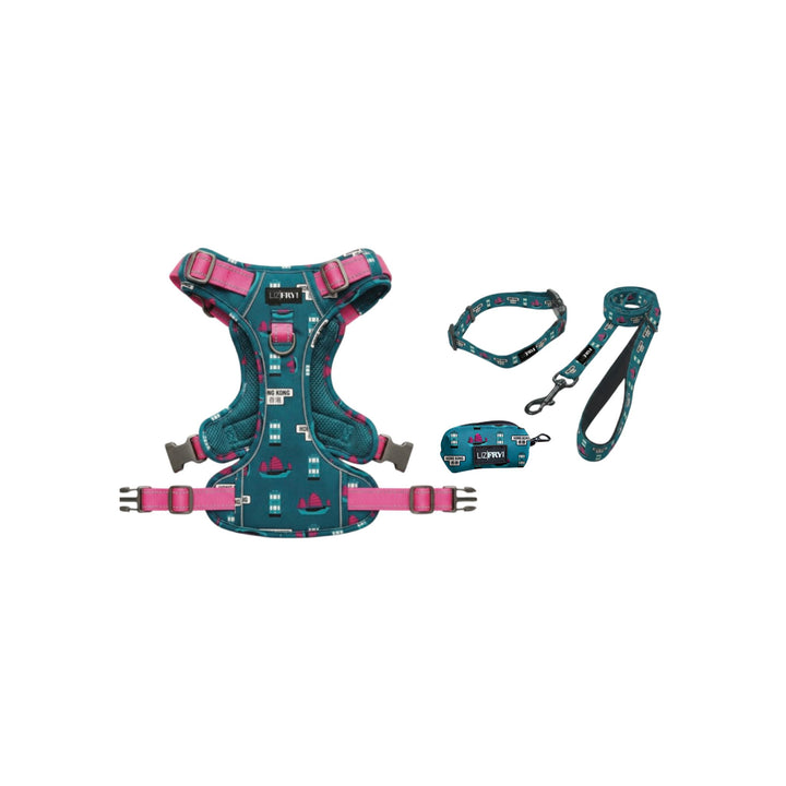 HK Transport – Teal 4-Piece Dog Walk Set