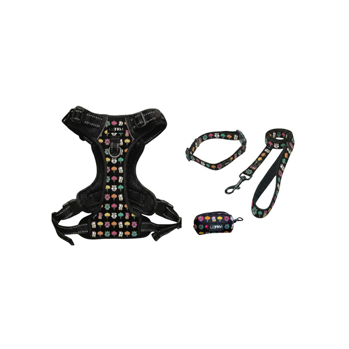 Lion, Cat, Lantern – Black 4-Piece Dog Walk Set