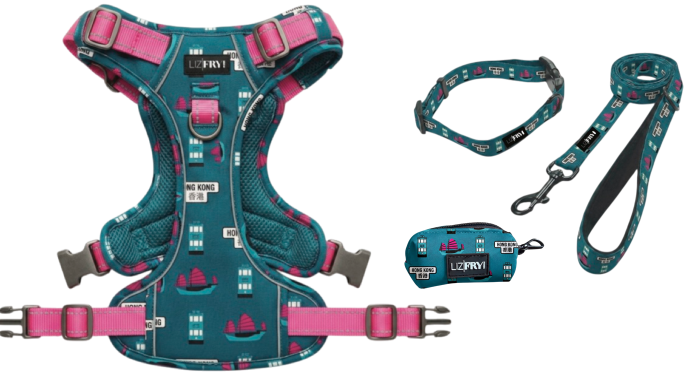 HK Transport – Teal 4-Piece Dog Walk Set