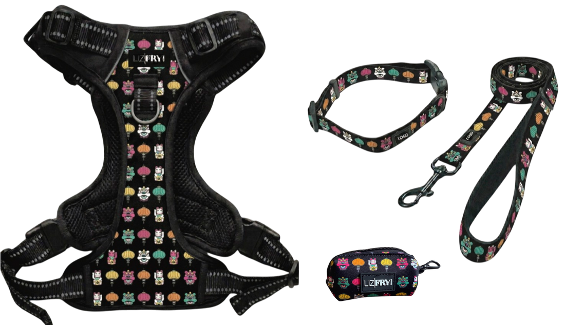 Lion, Cat, Lantern – Black 4-Piece Dog Walk Set