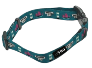HK Transport – Teal Adjustable Dog Collar