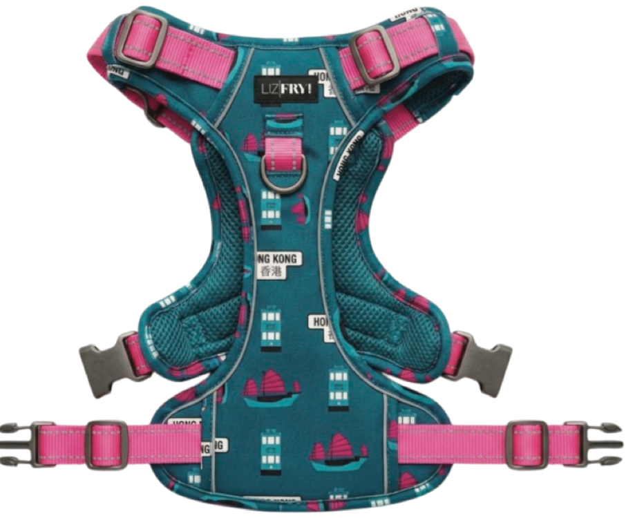 HK Transport – Teal Adjustable Dog Harness