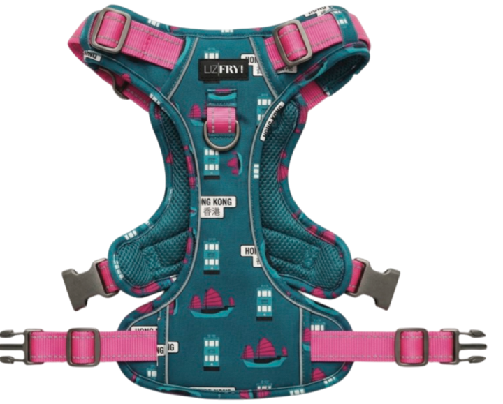 HK Transport – Teal Adjustable Dog Harness