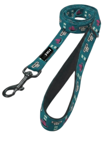 HK Transport – Teal Dog Lead